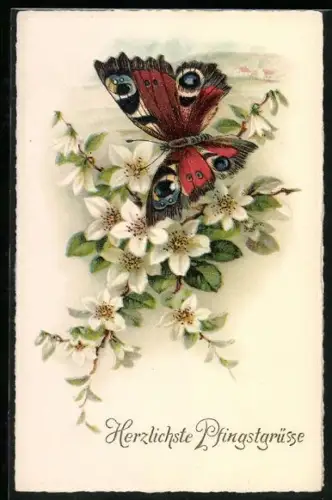 AK Schmetterling an einem Zweig mit weissen Blüten, Pfingstgruss