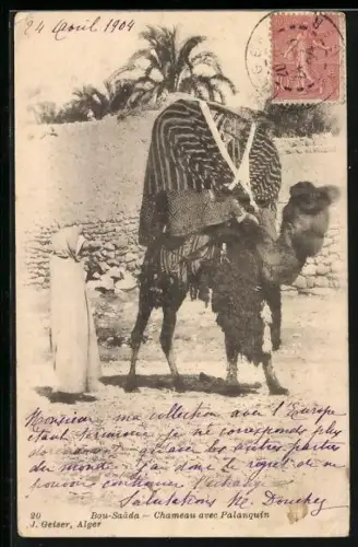 AK Bou-Saada, Chameau avec Palanquin