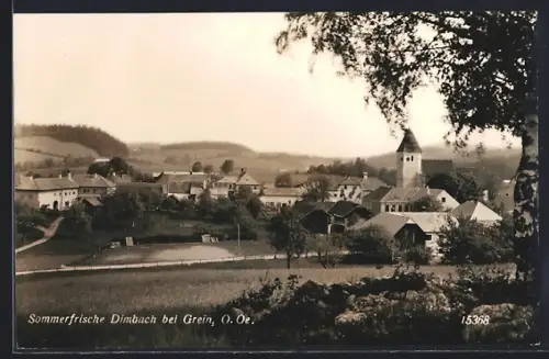 AK Dimbach b. Grein, Ortsansicht mit Kirche