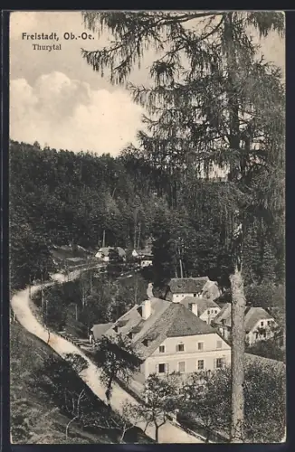 AK Freistadt /O.-Ö., Thurytal, Ortsansicht mit Strasse u. Wald aus der Vogelschau