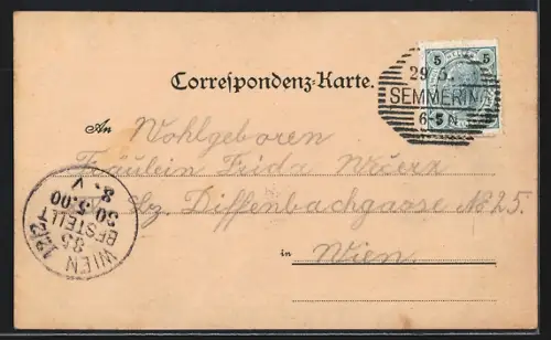 Lithographie Semmering, Semmering-Hotel, Gebäude-Ensemble mit Bergpanorama, Bergblumen