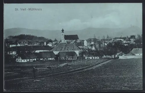 AK St. Veit /Mühlkreis, Gesamtansicht mit Wiesen und Bergpanorama