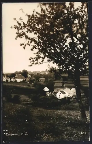 AK Tragwein /O. Ö., Blick zum Ort