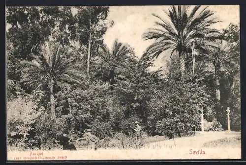 AK Sevilla, Parque