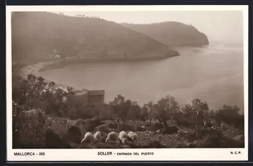 AK Soller, Entrada del Puerto