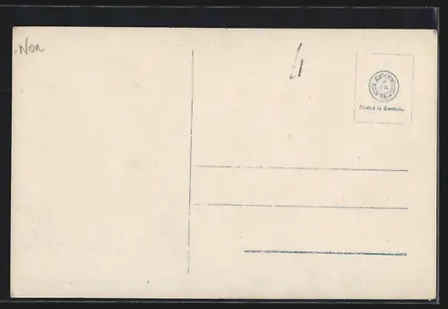 AK Naerofjord, Uferpartie mit Felsen