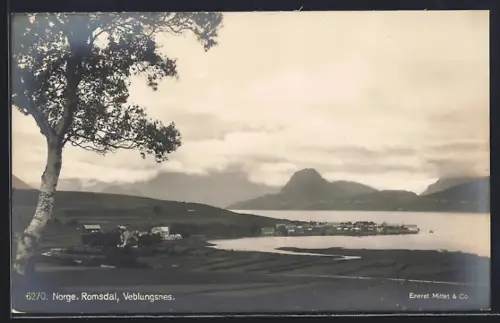 AK Veblungsnes /Romsdal, Panorama