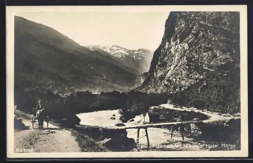 AK Fretheim /Flaamsdalen, Fretheim Hotel