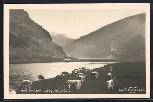 AK Fretheim, Sognefjorden