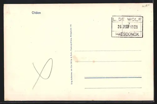 AK Olden, Panorama mit Passagierdampfer