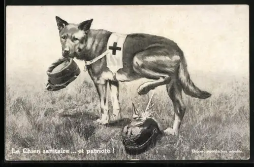 AK Sanitätshund mit Mütze