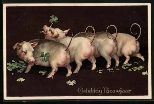 Künstler-AK Vier Glücksschweine mit vierblättrigem Klee - Neujahrsgruss