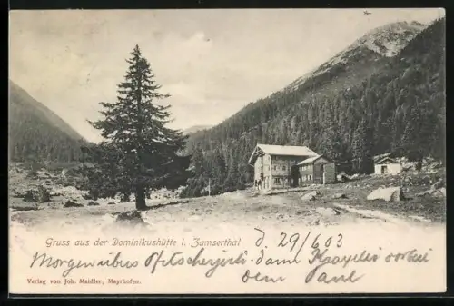 AK Dominikushütte im Zamsertal, Panorama mit Tanne