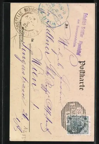 AK Schottwien, Gasthof Friedrich Schüler Alpenhaus am Sonnwendstein