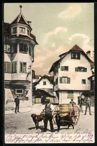 AK Luzern, Mann mit Hundegespann