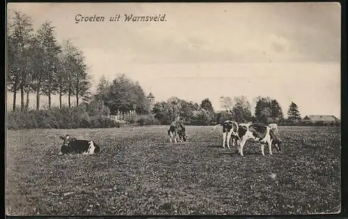 AK Warnsveld, Panorama