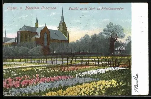 AK Overveen /Haarlem, Gezicht op de Kerk en Hijacintenvelden
