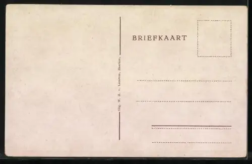 AK Haarlem, Hertenkamp