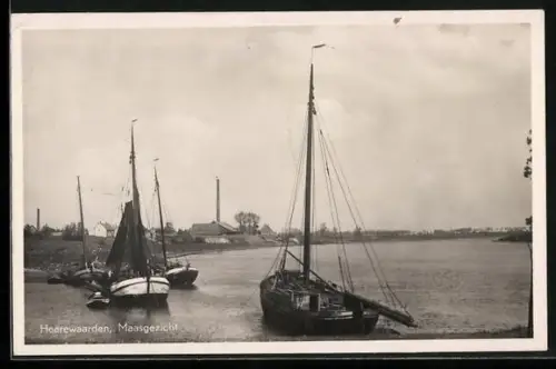 AK Heerewaarden, Maasgezicht