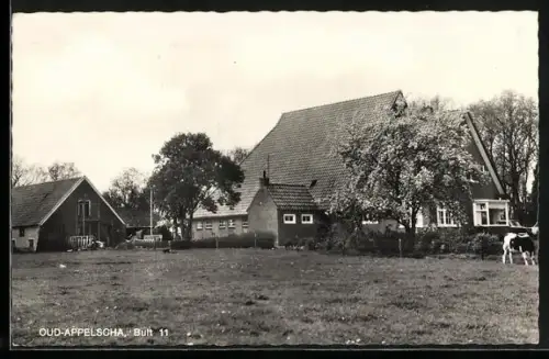AK Appelscha, Oud-Appelscha, Bult 11