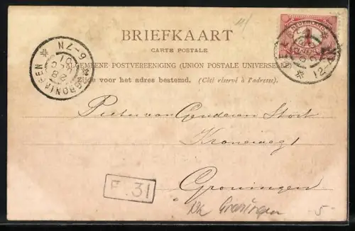 AK Leek, Huize Nienoord