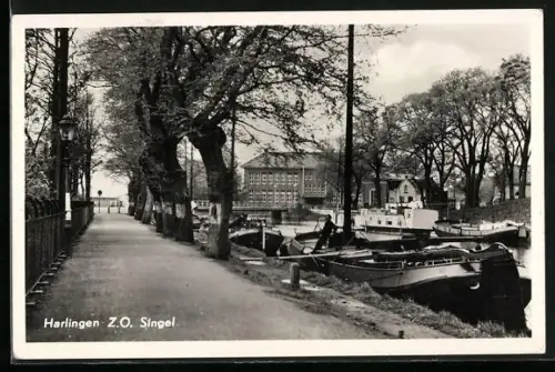 AK Harlingen, Z. O. Singel