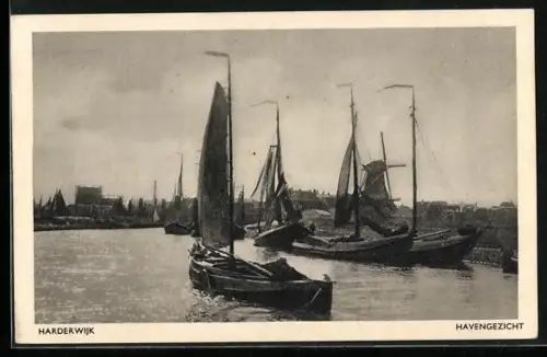 AK Harderwijk, Havengezicht