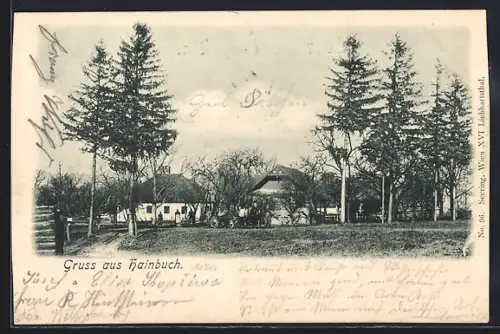 AK Mauerbach /N.-Oe., Gruss aus Hainbuch, Häuser am Ortsrand