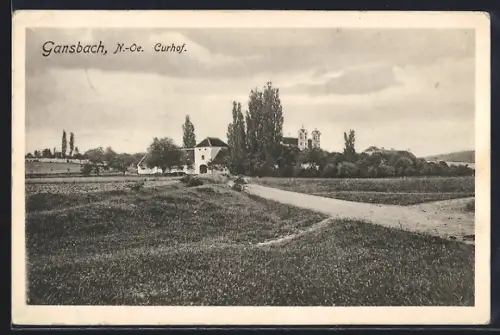 AK Gansbach /N.-Oe., Curhof mit Anlagen