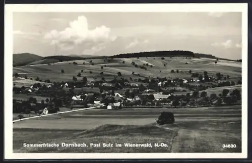 AK Dornbach bei Sulz, Ortsansicht mit Feldern