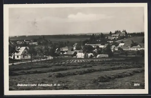 AK Echsenbach /N. D., Acker am Ortsrand