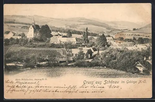 AK Schönau /N.-Ö., Teilansicht mit Kirche