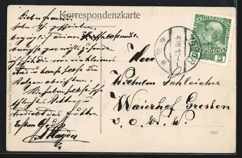 AK Altenmarkt a. d. Ysper, Totalansicht von einen Berg aus