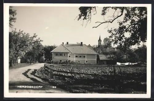 AK Herzogsdorf, Strassenpartie am Gemüsefeld mit Blick zur Kirche