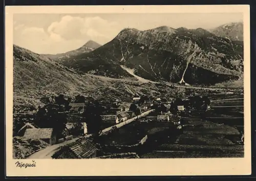 AK Niegusi, Panorama