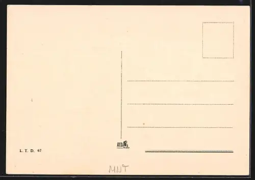 AK Niegusi, Panorama