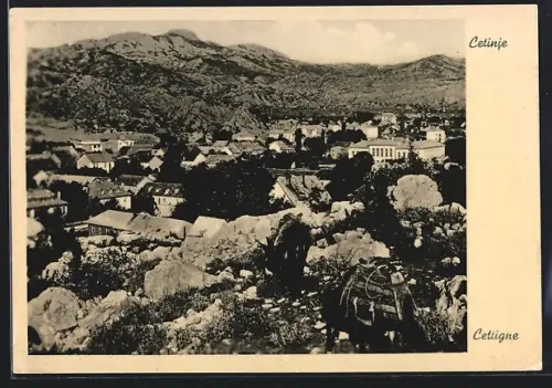 AK Cetigne, Panorama