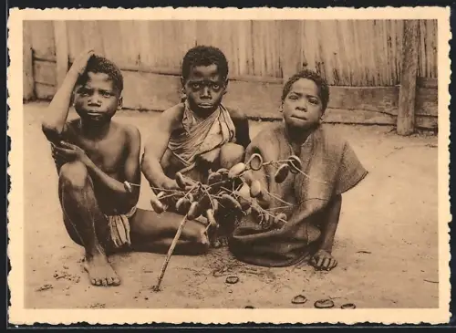 AK Madagaskar, Pohansky trojlistek