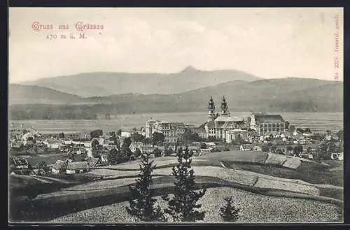 AK Grüssau, Ortsansicht über die Felder