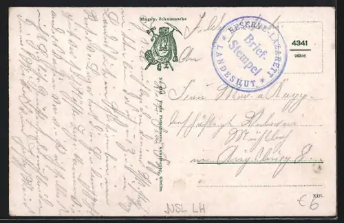 AK Landeshut i. Schl., Ortsansicht mit Panorama