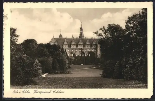 AK Oels i. Schles., Kronprinzl. Schloss