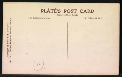 AK Ceylon, Abtransport des Tees mit Ochsenkarren