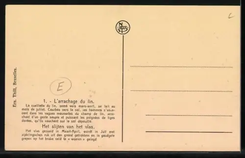 AK La culture du Lin, L`arrachage du Lin, Flachsernte