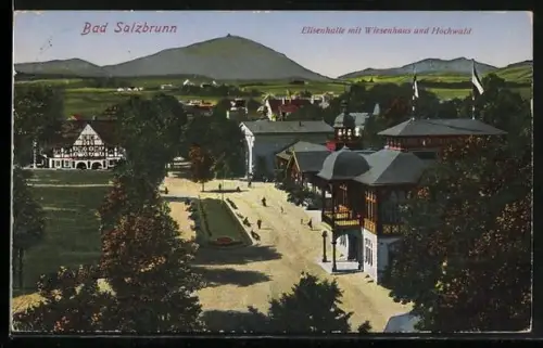 AK Bad Salzbrunn, Wiesenhaus m. d. Hochwald