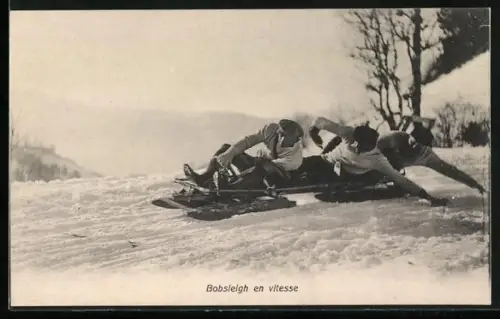 AK Bobsleigh en vitesse, Schlitten
