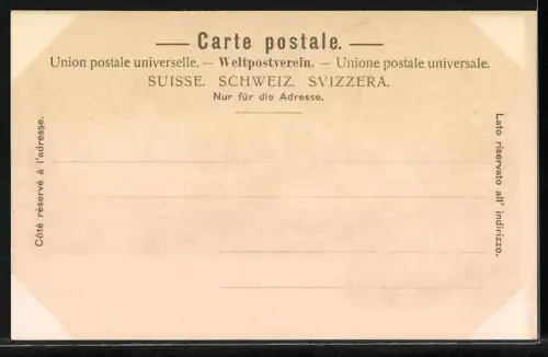 AK Schaffhausen, Rheinfall mit Schloss Laufen