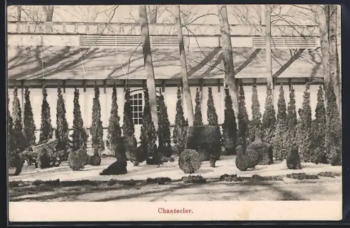 AK Haarlem, Nationale Bloemententoonstelling 1910, Chantecler