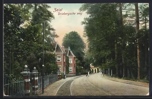 AK Zeist, Driebergsche weg