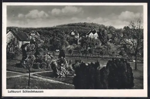 AK Schledehausen / Bissendorf, Ortsansicht mit Bäumen