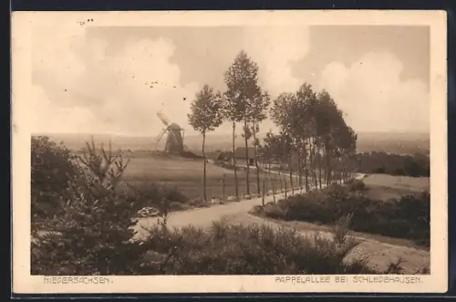 AK Schledehausen / Bissendorf, Pappelallee, Windmühle